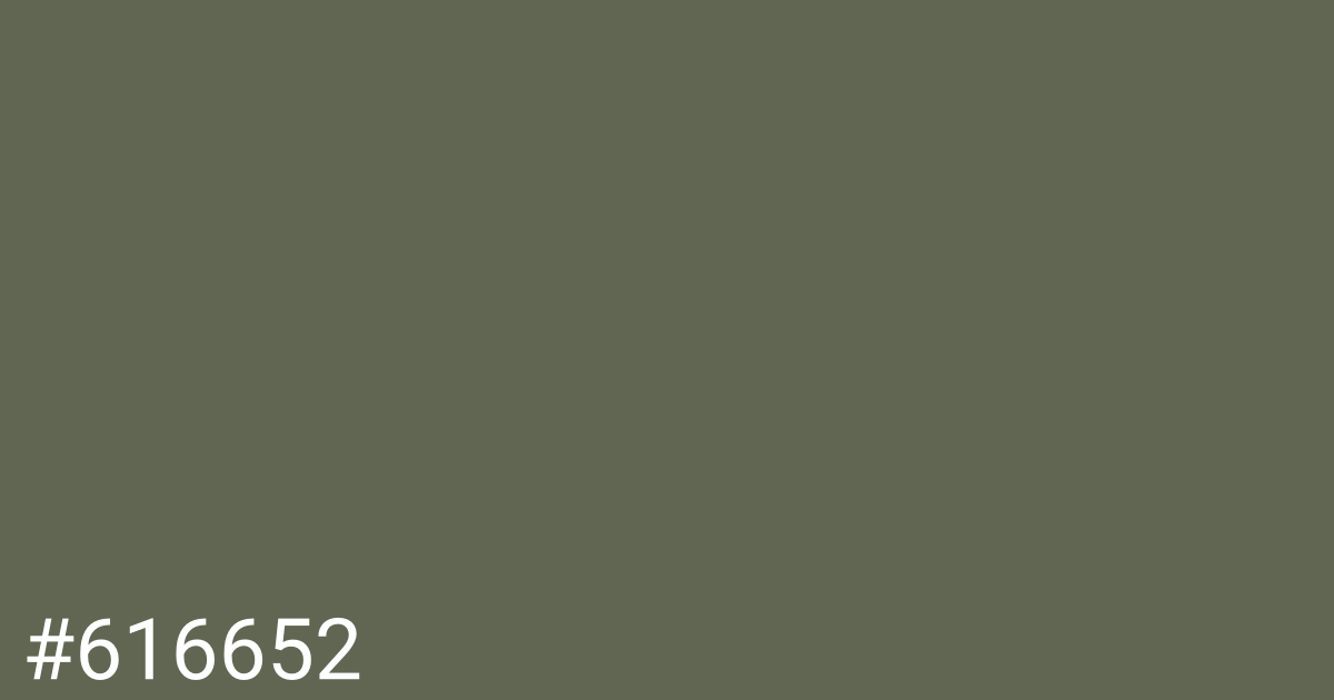 Hex color #616652 graphic