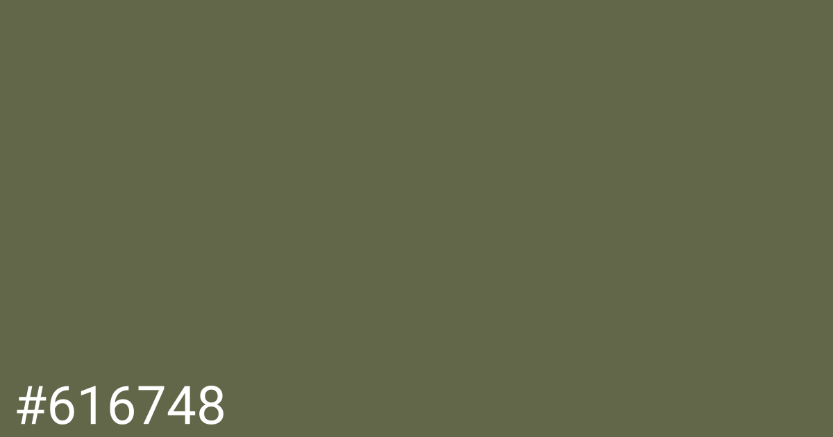 Hex color #616748 graphic