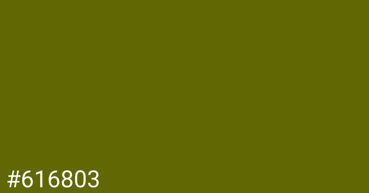 Hex color #616803 graphic