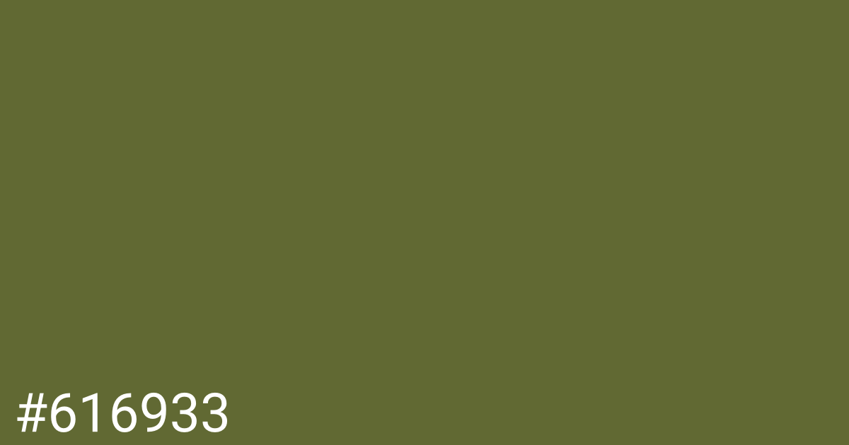 Hex color #616933 graphic