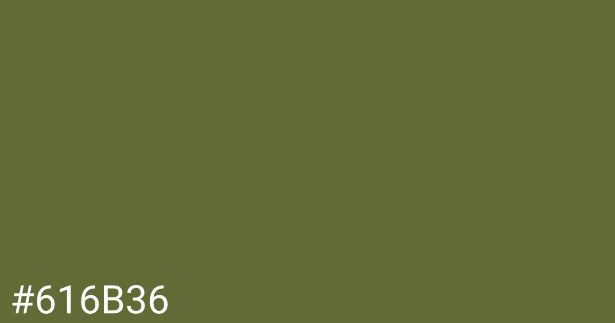 Hex color #616b36 graphic