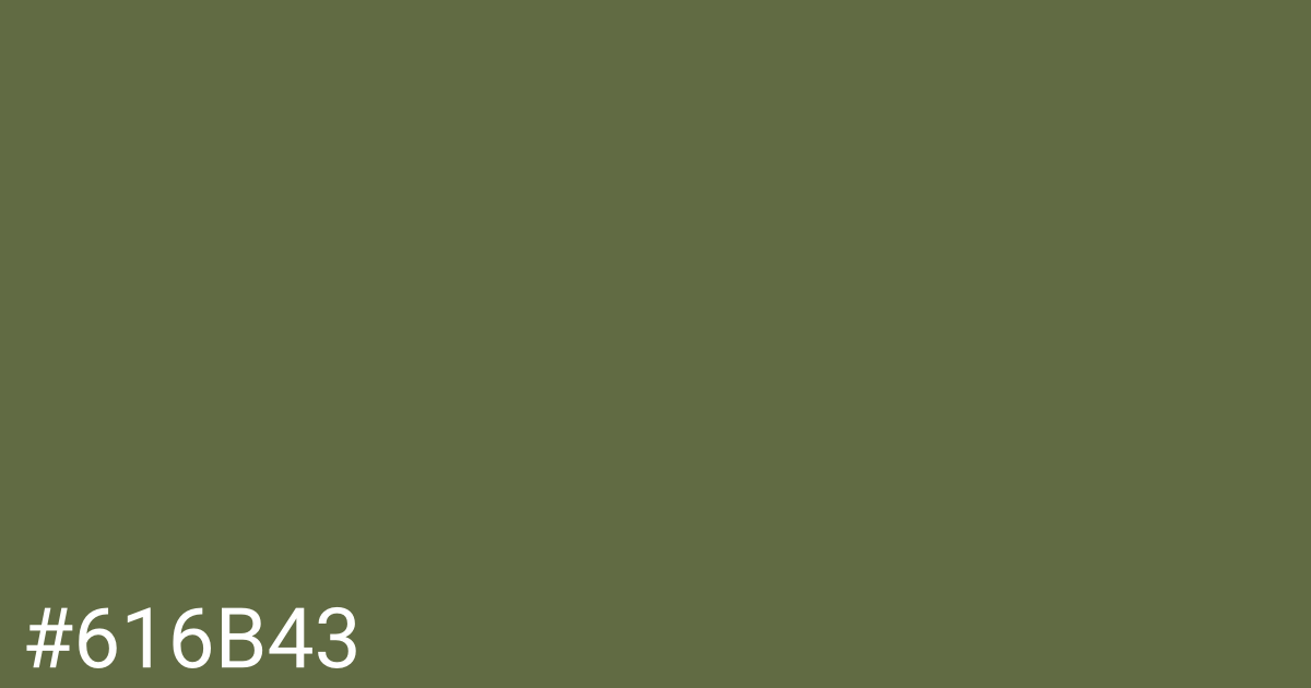 Hex color #616b43 graphic