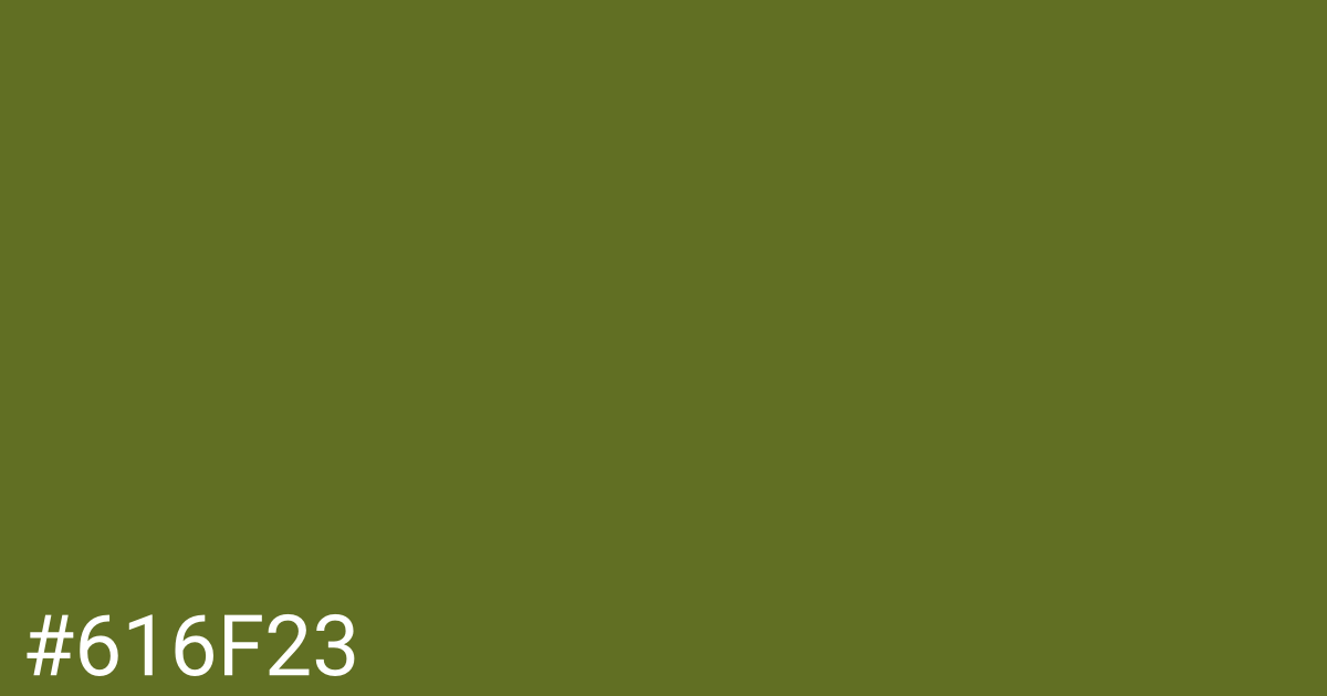 Hex color #616f23 graphic