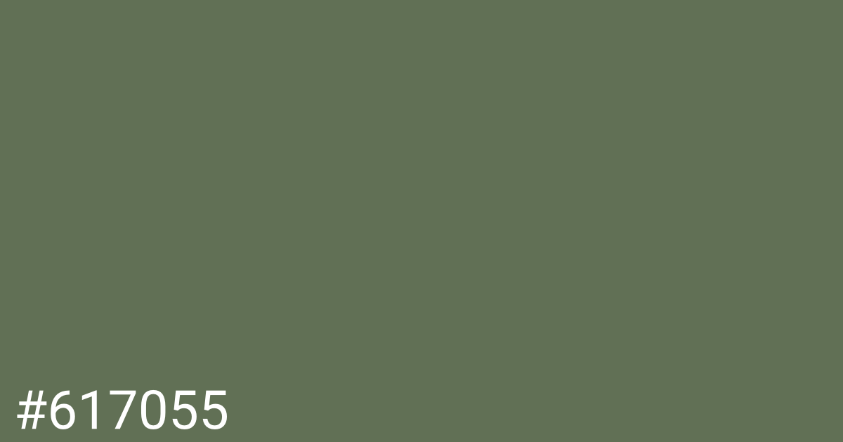 Hex color #617055 graphic