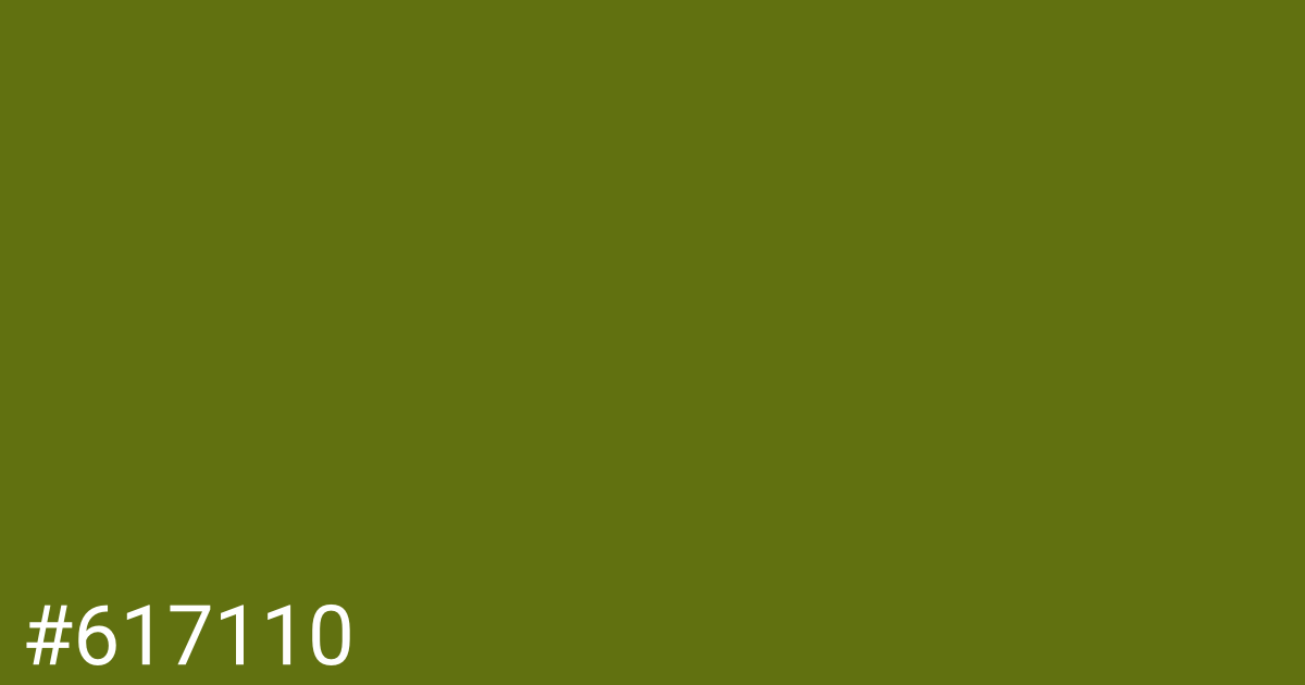 Hex color #617110 graphic