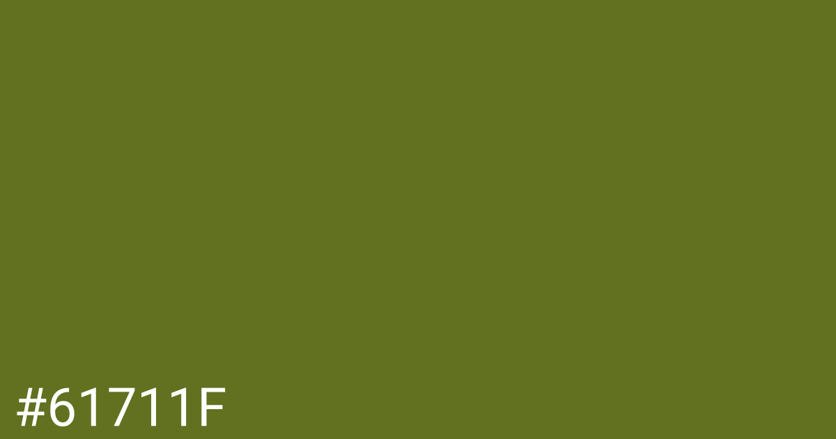 Hex color #61711f graphic