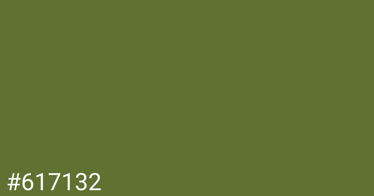 Hex color #617132 graphic