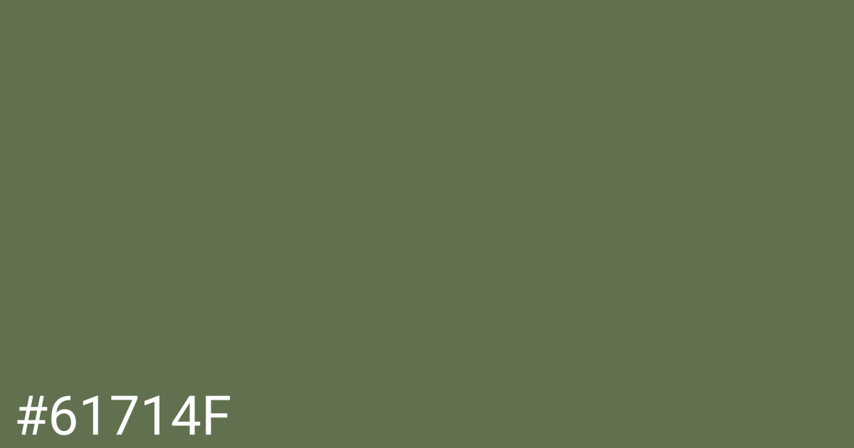 Hex color #61714f graphic