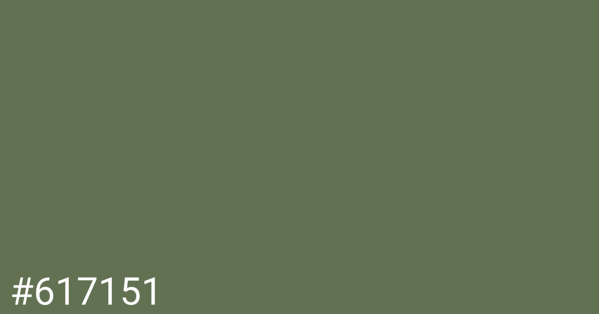 Hex color #617151 graphic