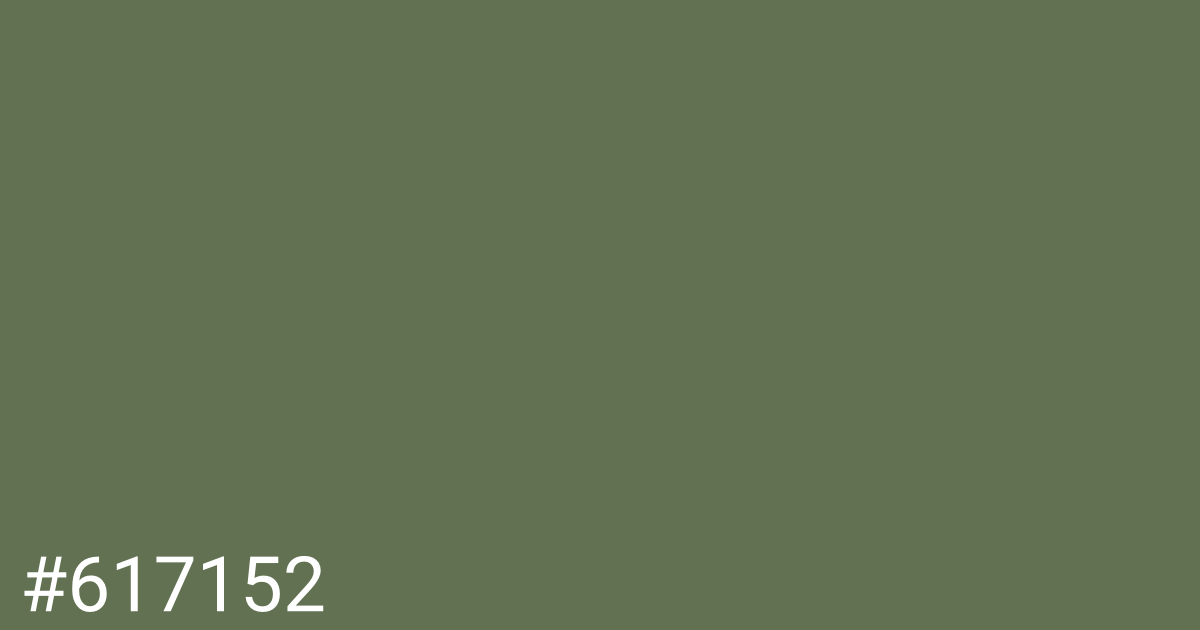 Hex color #617152 graphic