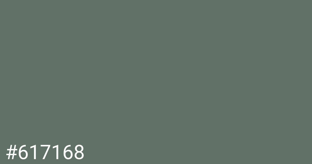 Hex color #617168 graphic