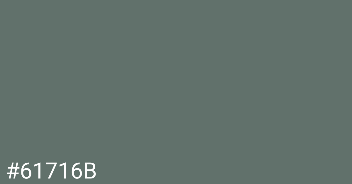 Hex color #61716b graphic