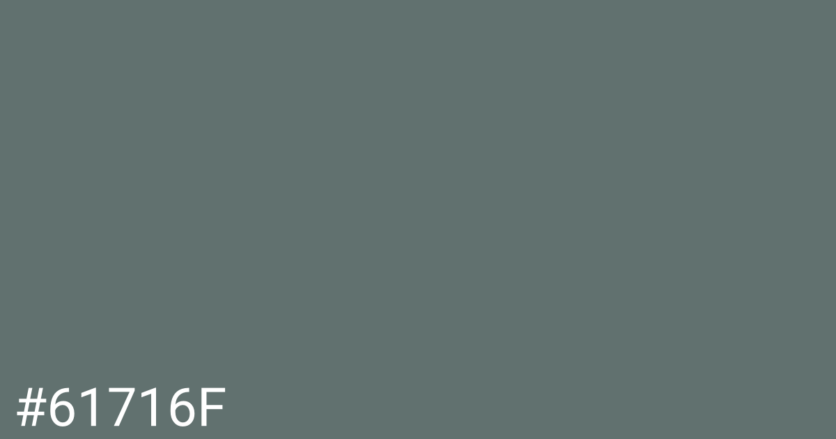 Hex color #61716f graphic