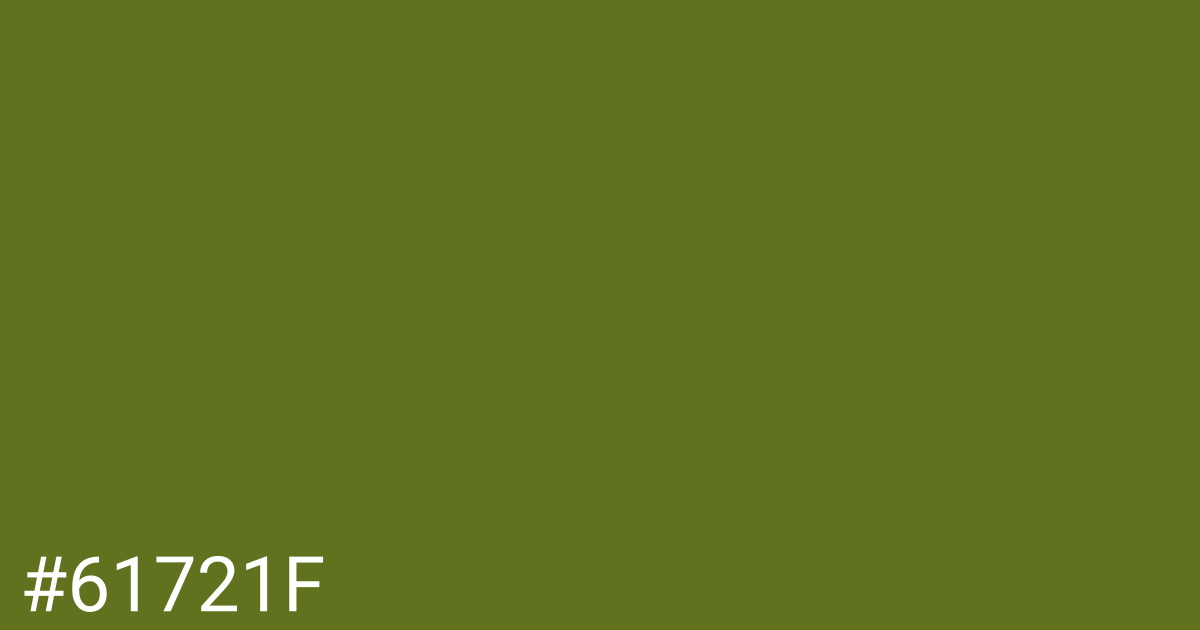 Hex color #61721f graphic