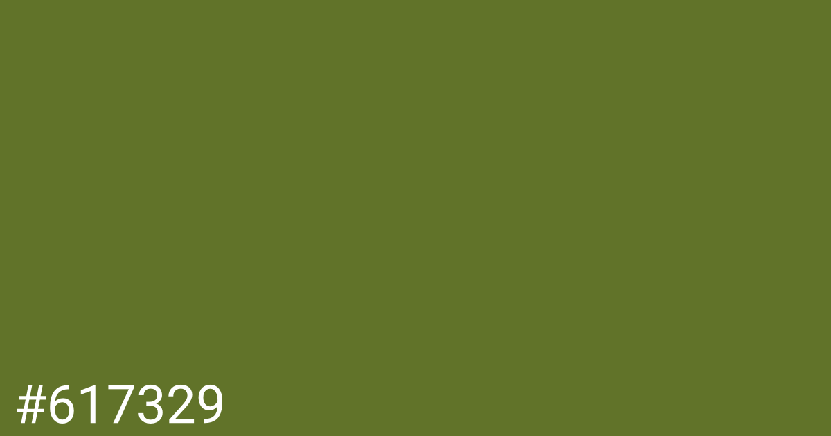 Hex color #617329 graphic