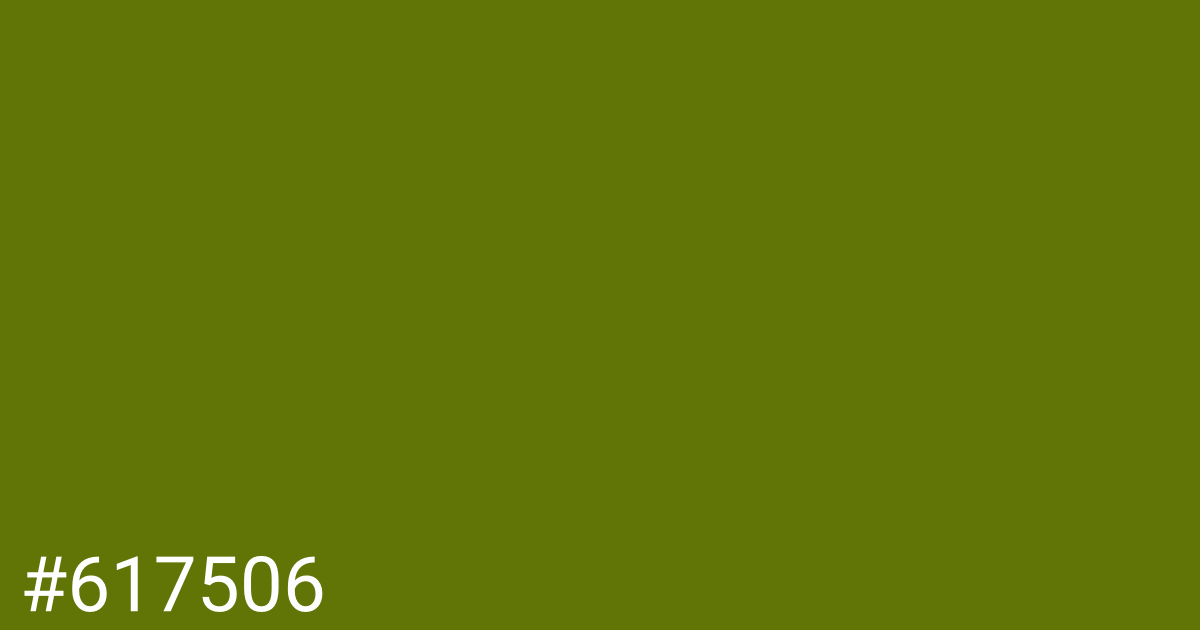 Hex color #617506 graphic