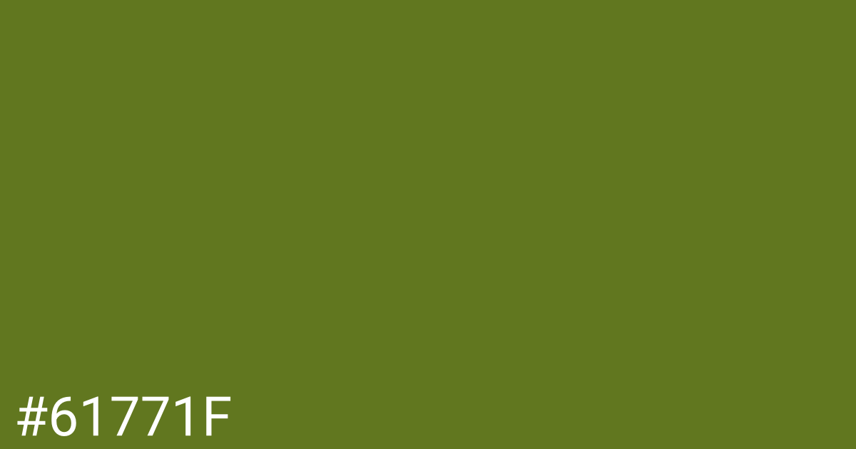 Hex color #61771f graphic