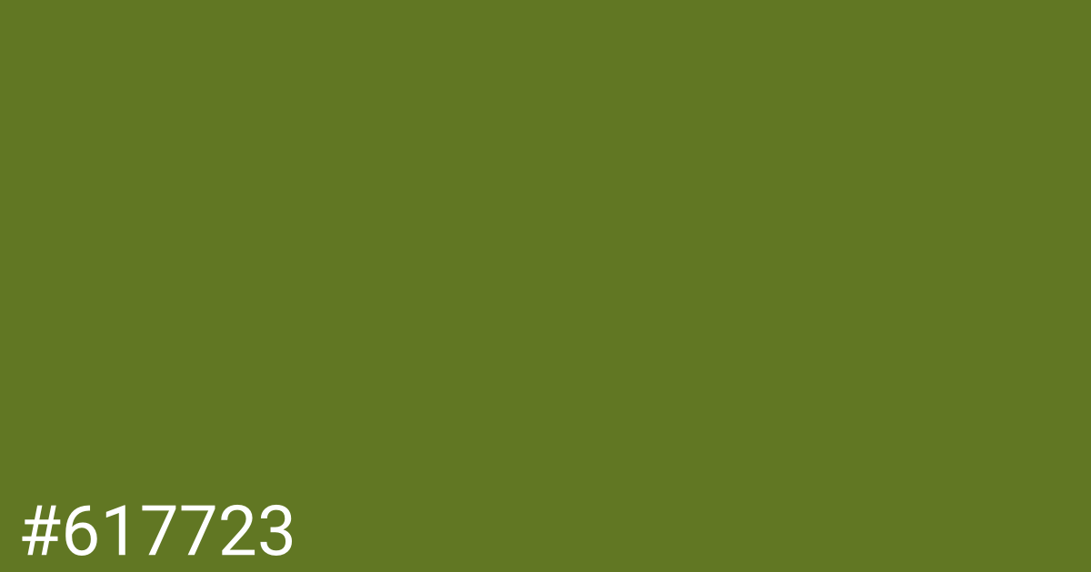 Hex color #617723 graphic