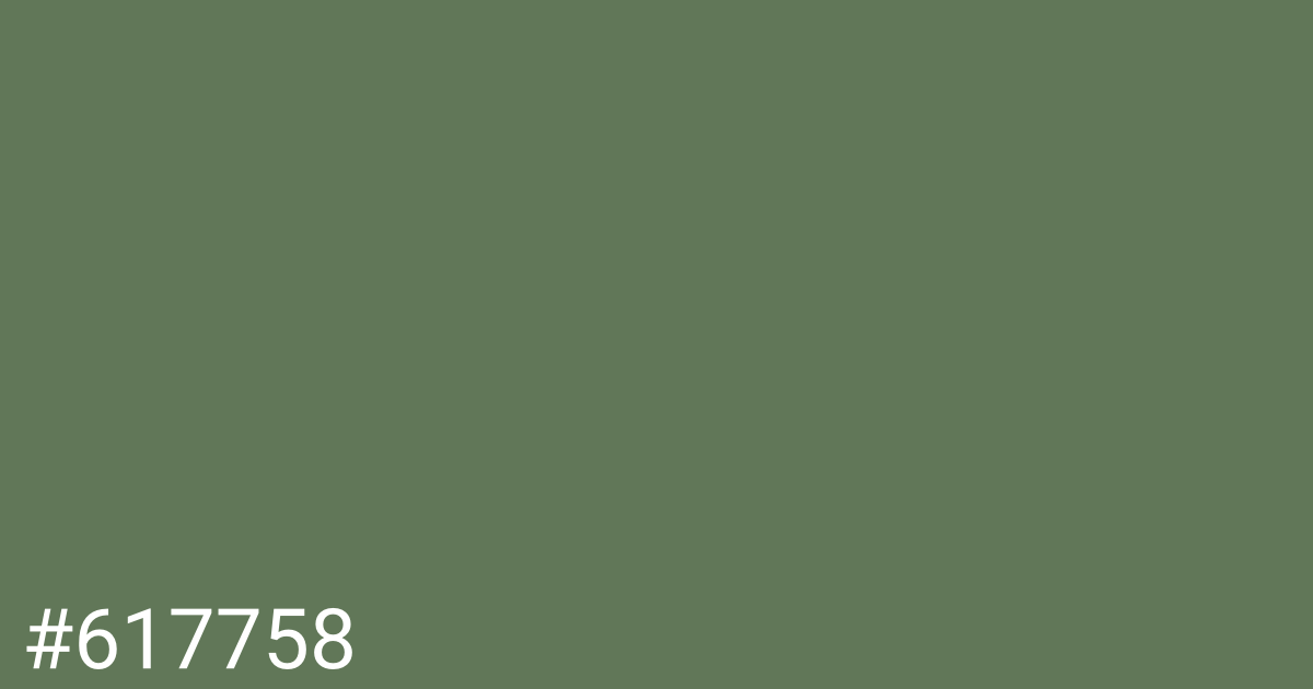 Hex color #617758 graphic