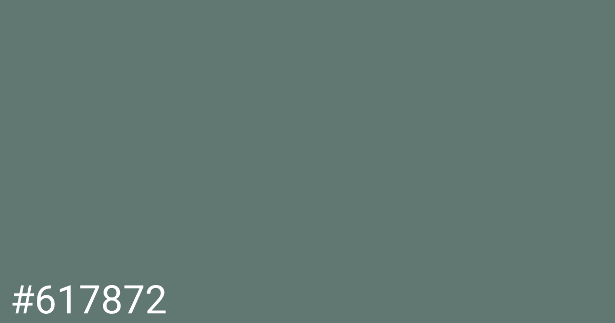 Hex color #617872 graphic