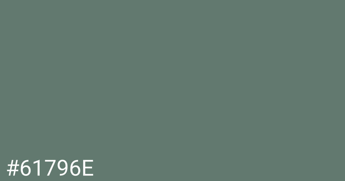 Hex color #61796e graphic