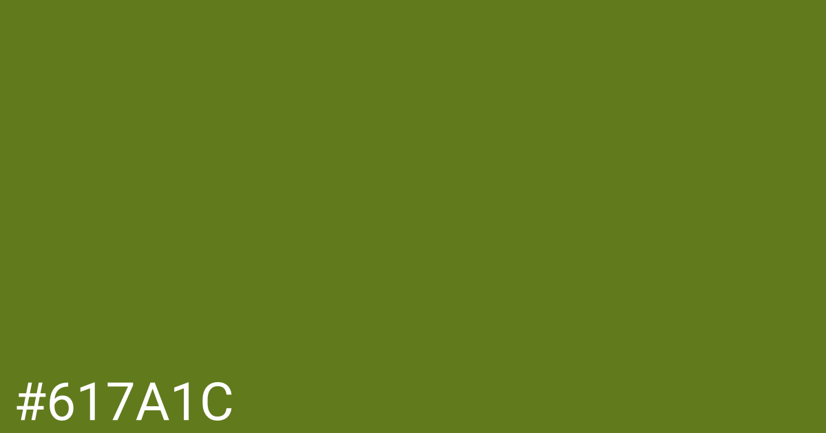 Hex color #617a1c graphic