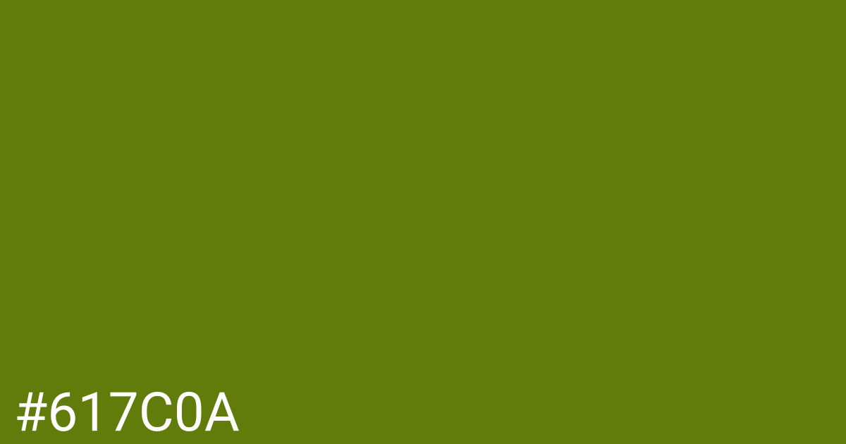 Hex color #617c0a graphic