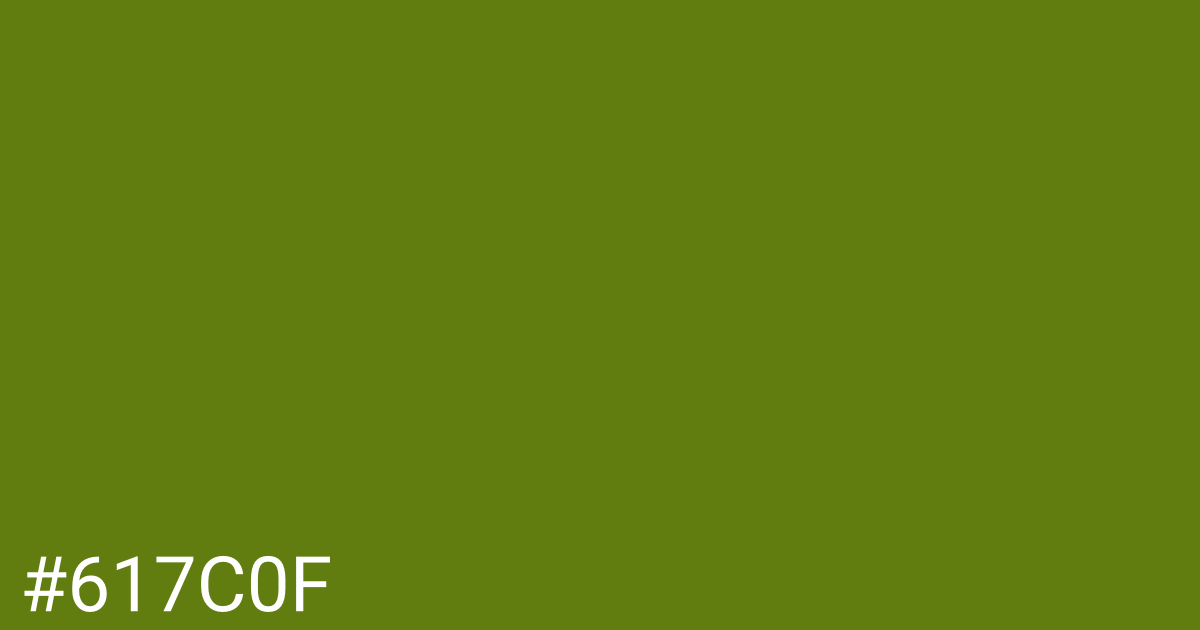 Hex color #617c0f graphic