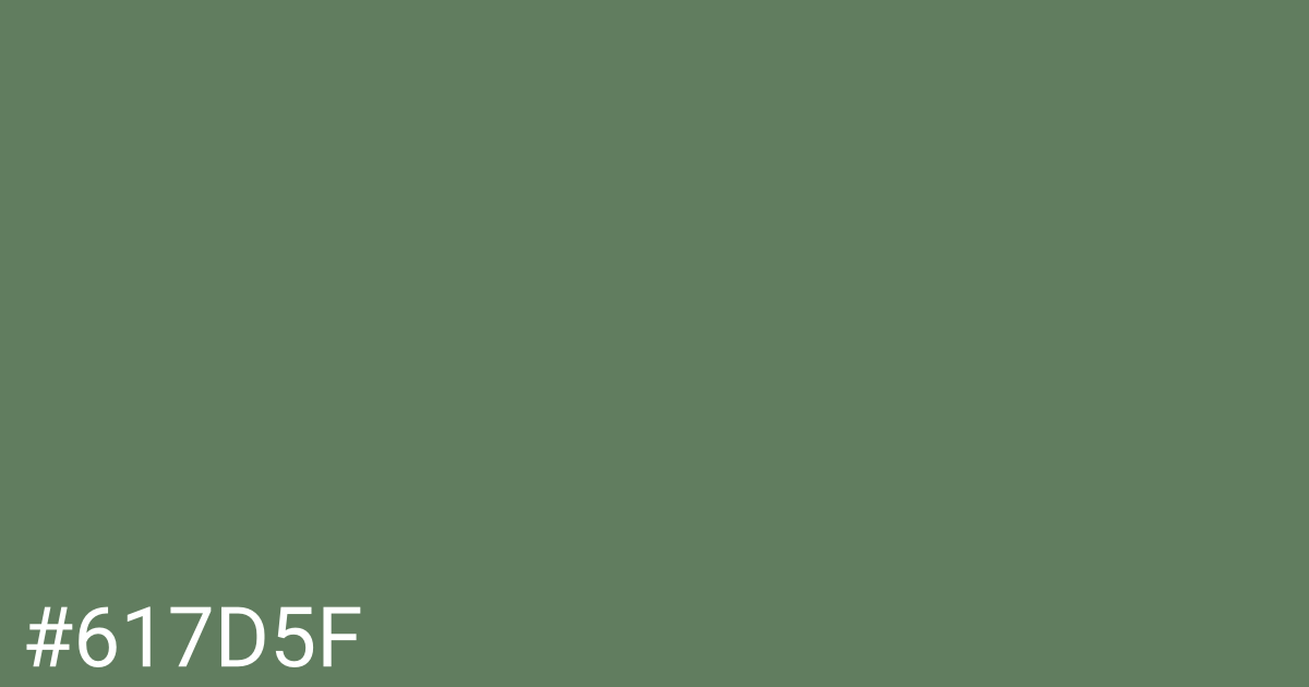 Hex color #617d5f graphic