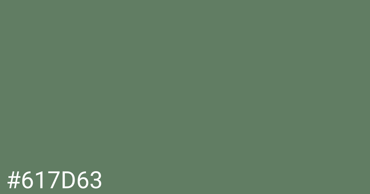 Hex color #617d63 graphic