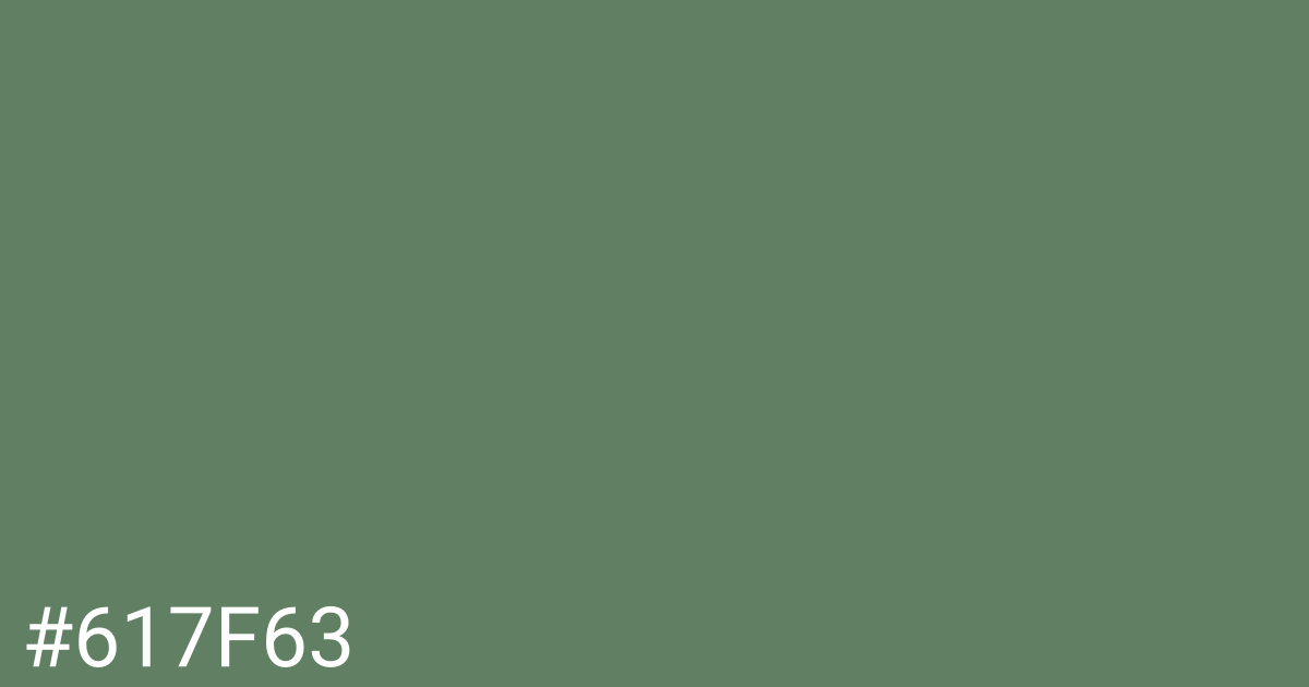 Hex color #617f63 graphic