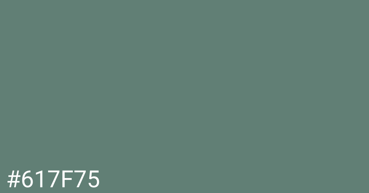 Hex color #617f75 graphic