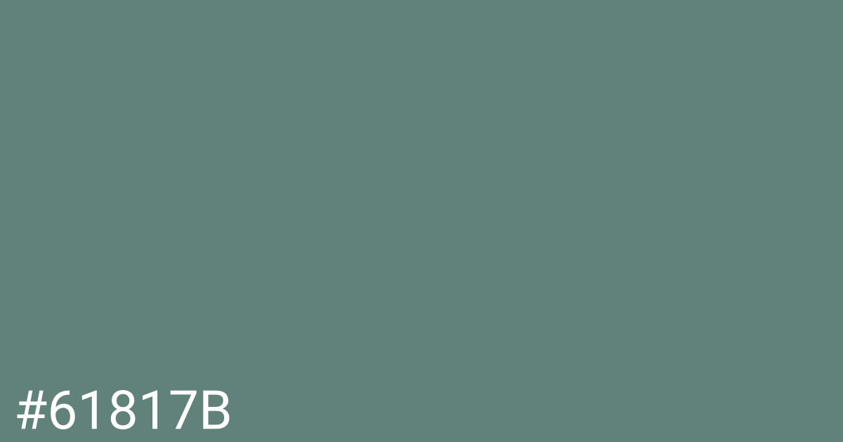 Hex color #61817b graphic