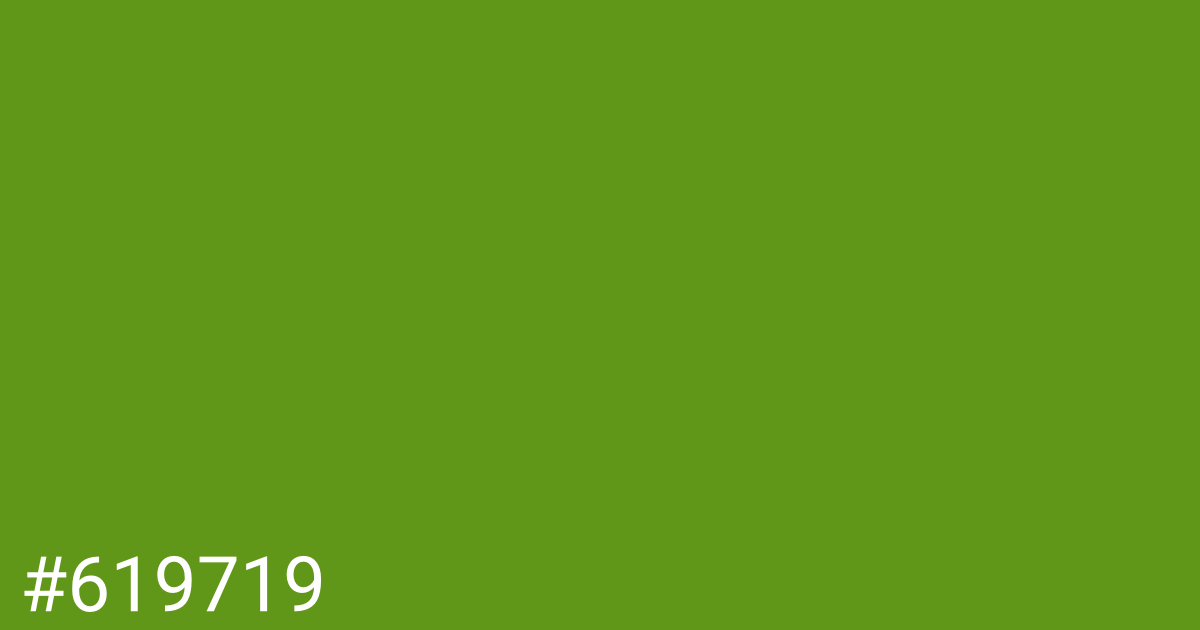 Hex color #619719 graphic