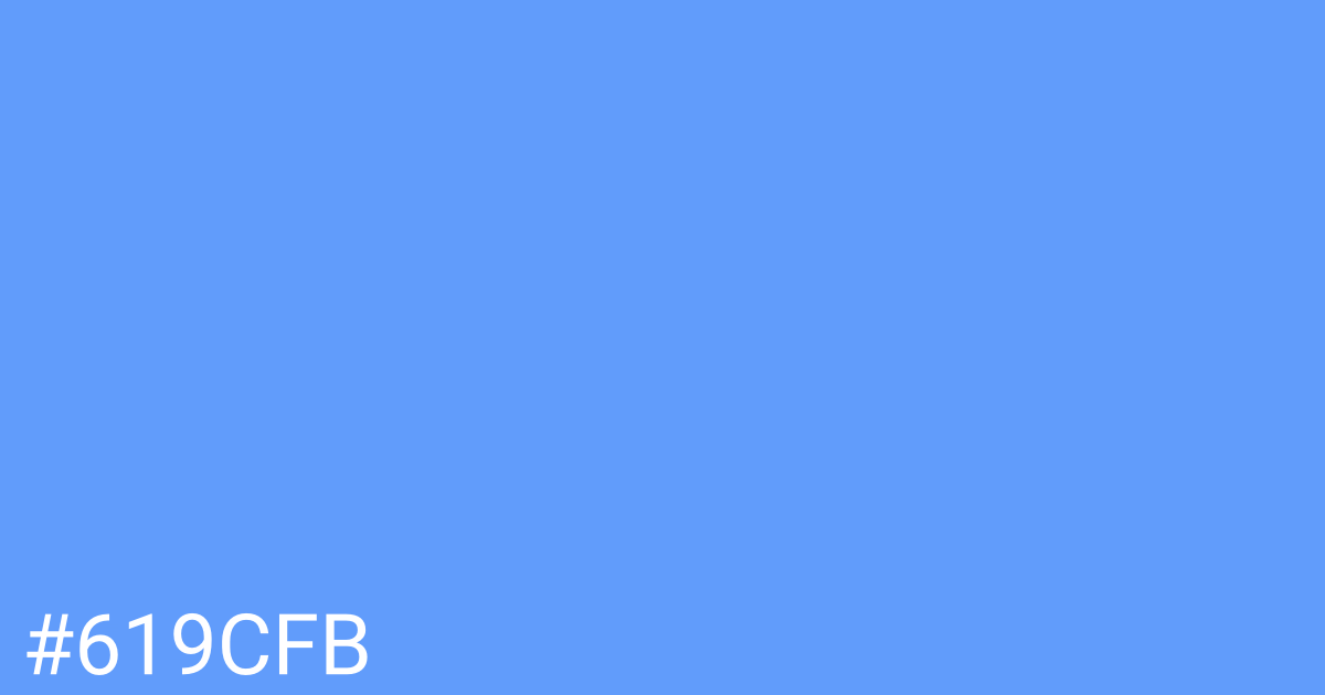 Hex color #619cfb graphic