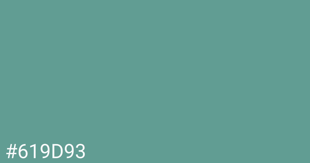 Hex color #619d93 graphic