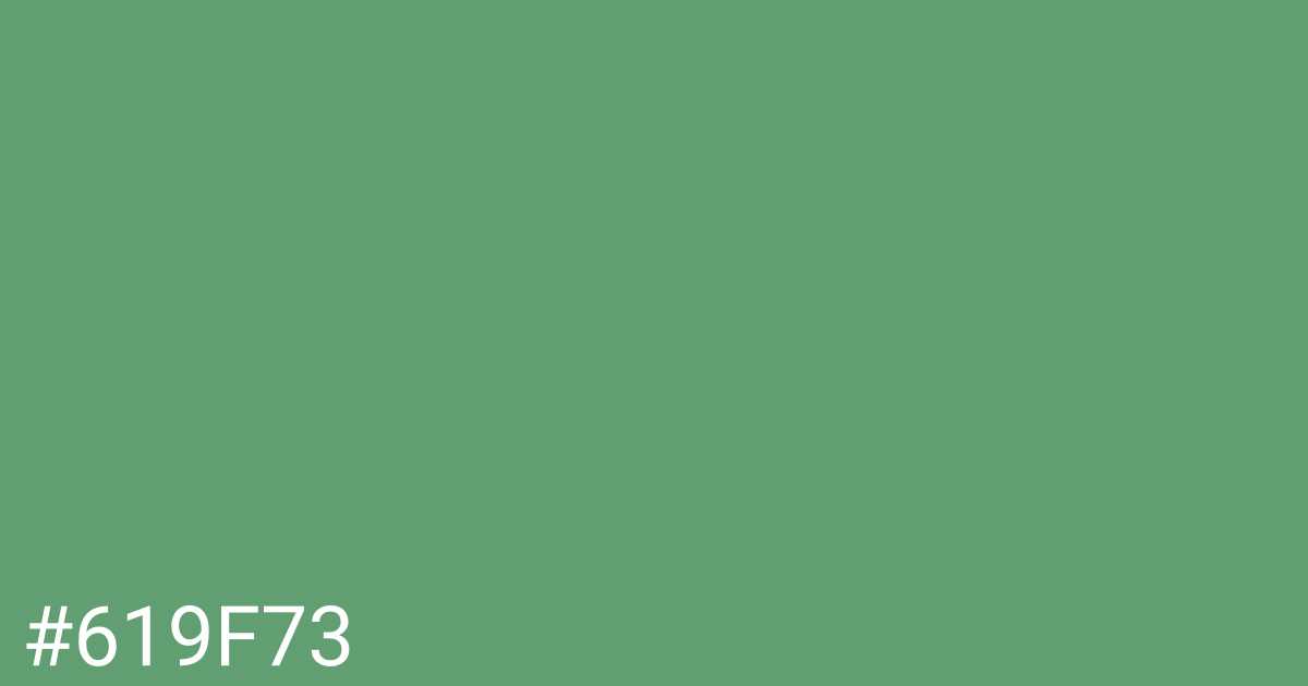 Hex color #619f73 graphic