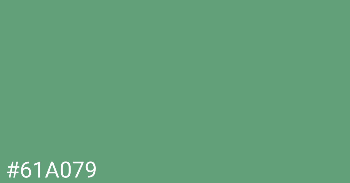 Hex color #61a079 graphic