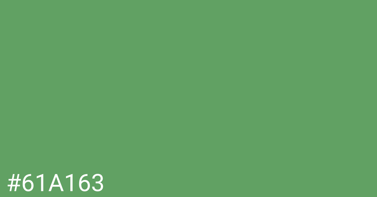 Hex color #61a163 graphic