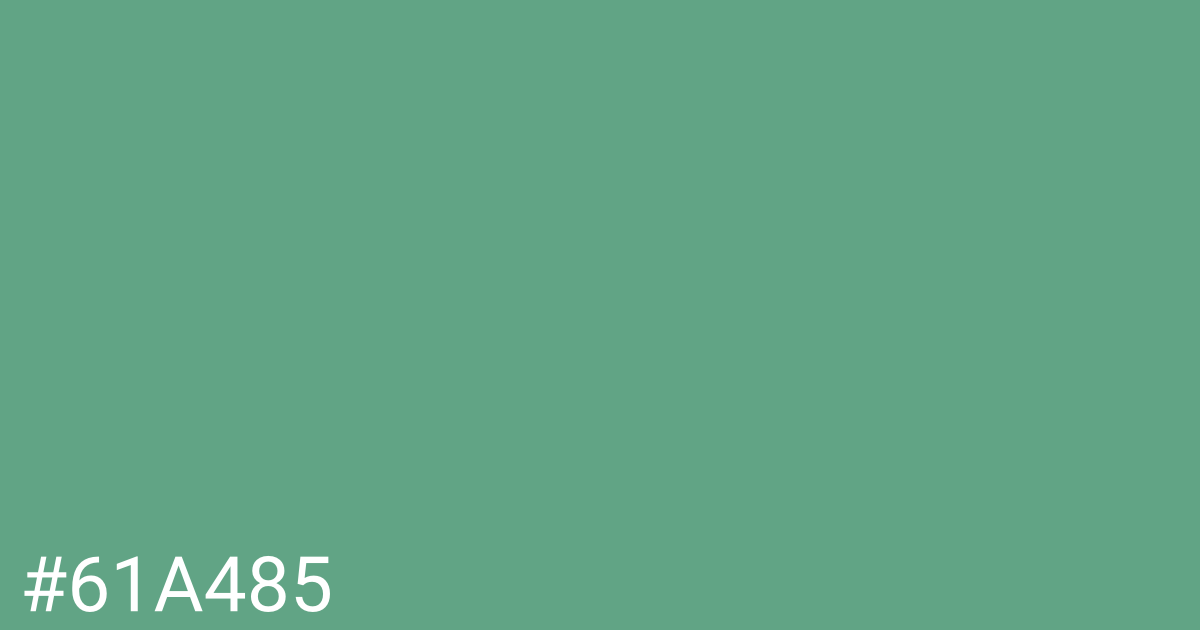 Hex color #61a485 graphic