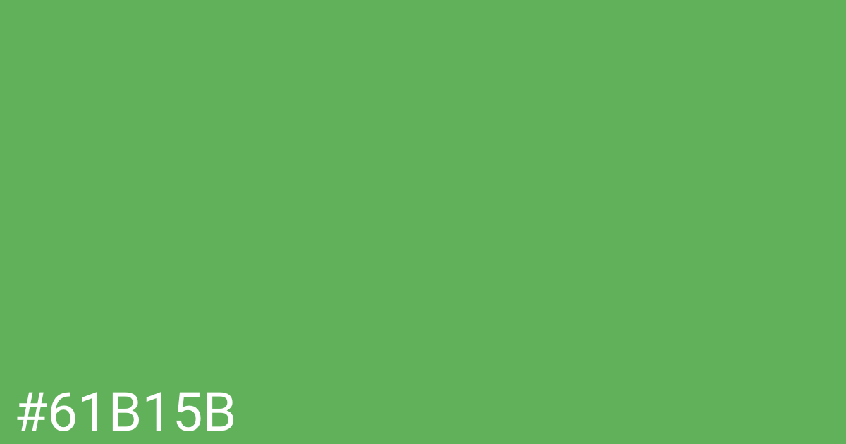 Hex color #61b15b graphic