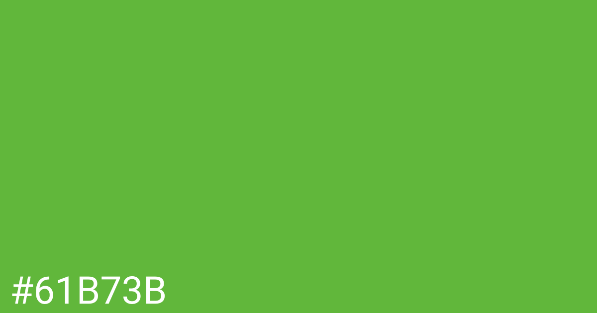 Hex color #61b73b graphic