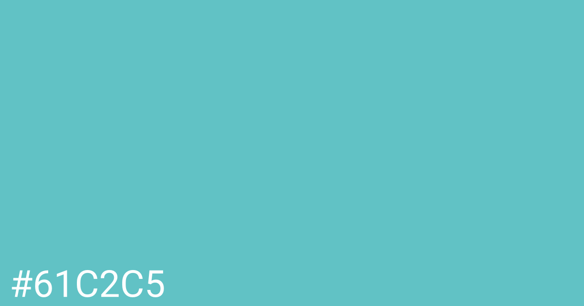 Hex color #61c2c5 graphic