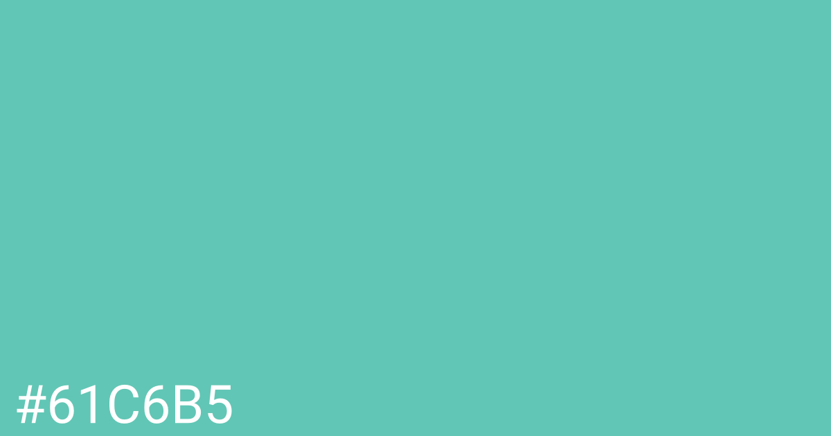 Hex color #61c6b5 graphic