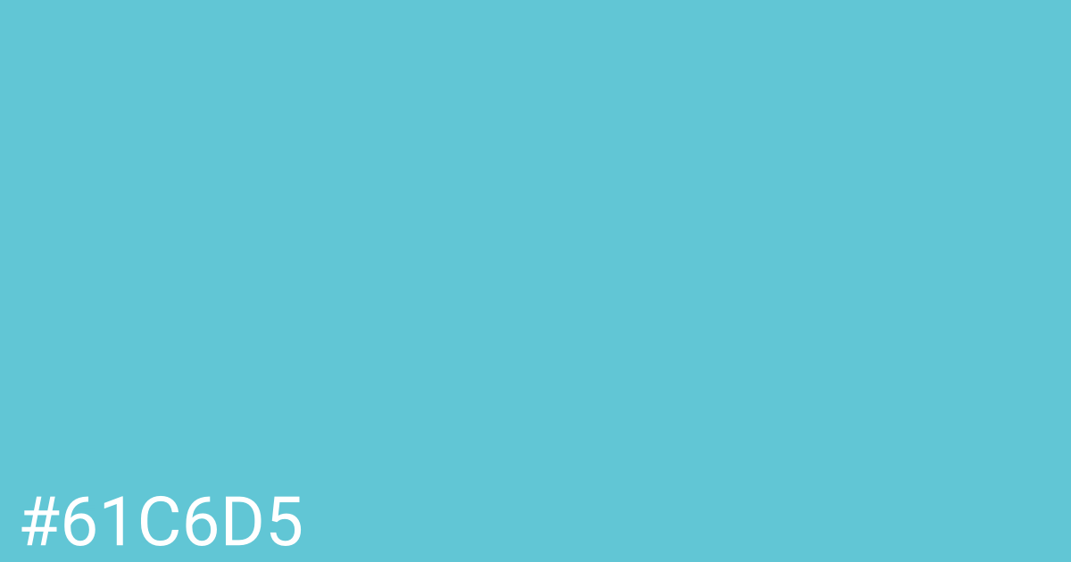 Hex color #61c6d5 graphic