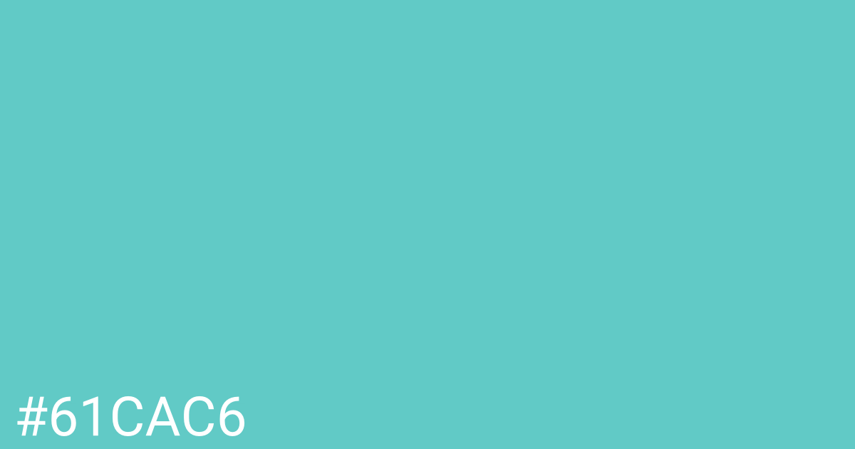 Hex color #61cac6 graphic