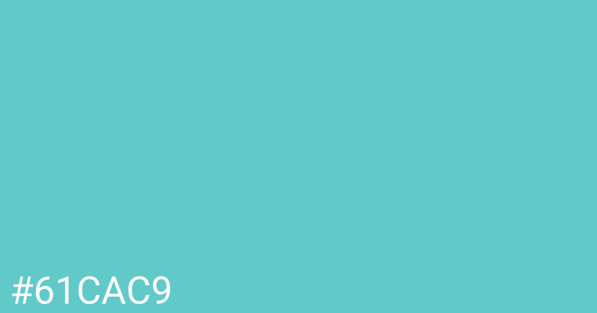 Hex color #61cac9 graphic