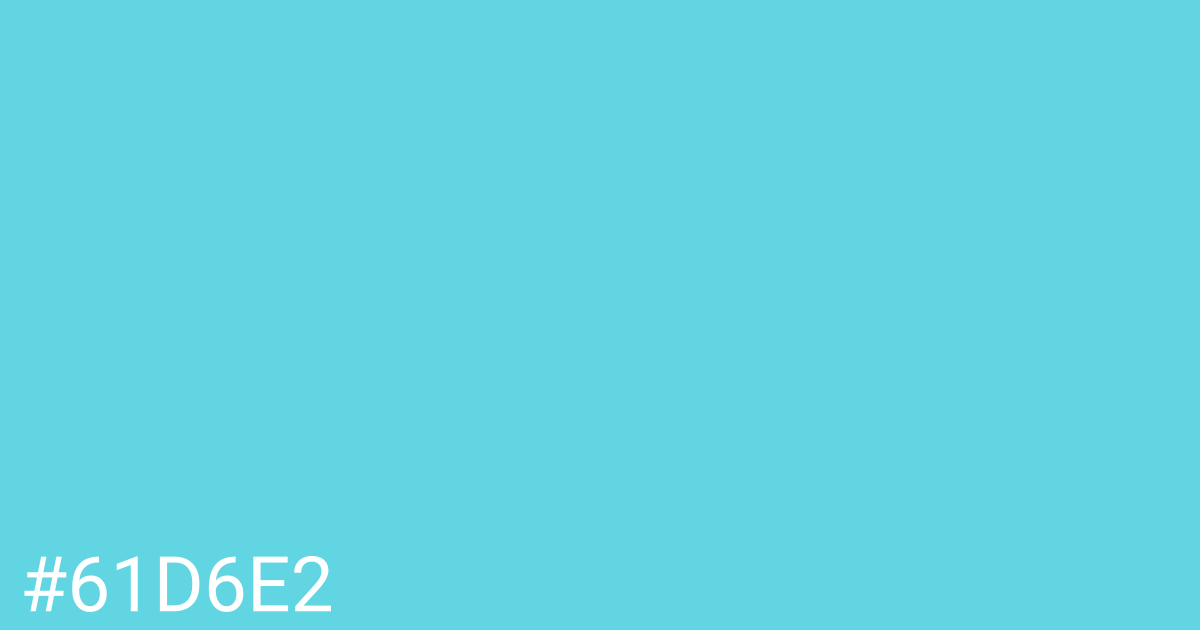 Hex color #61d6e2 graphic