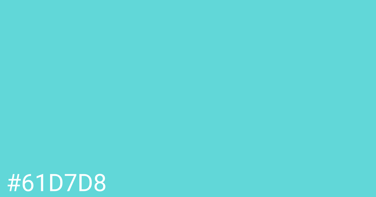 Hex color #61d7d8 graphic