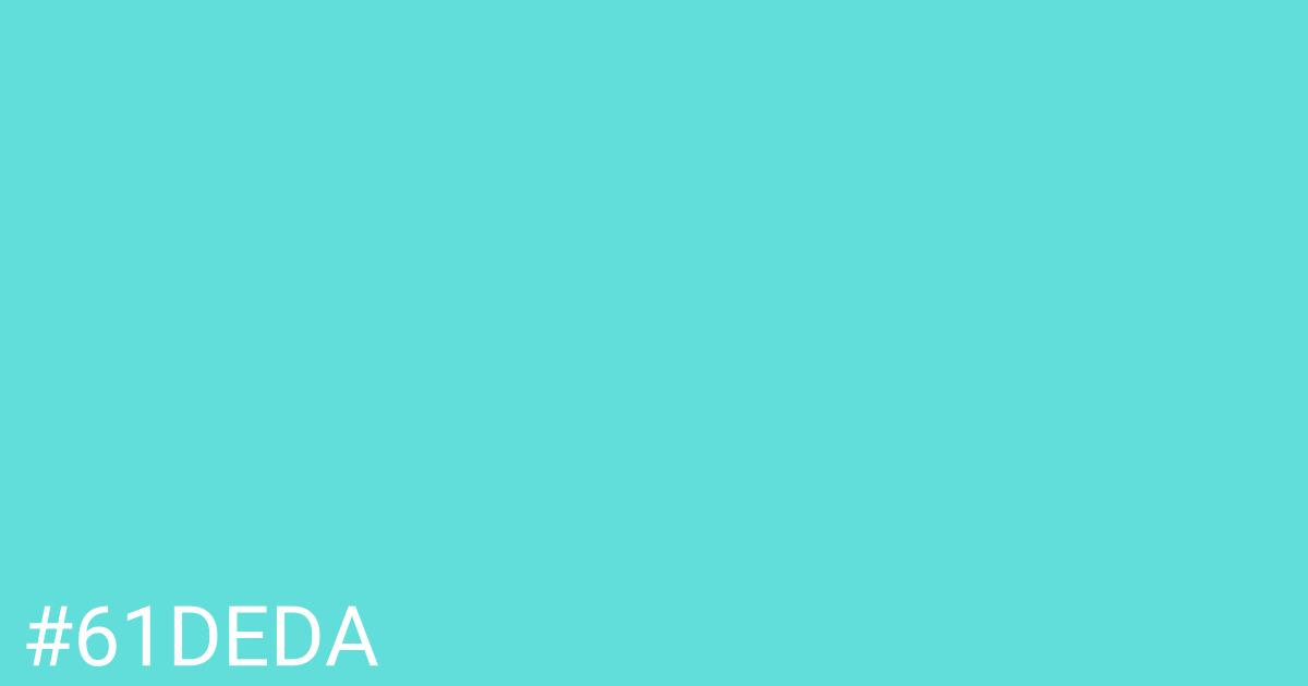 Hex color #61deda graphic